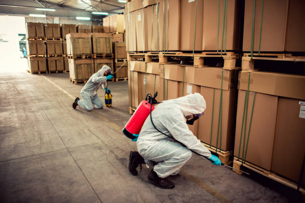 Best Best Pest Control Companies  in Oneida, NY