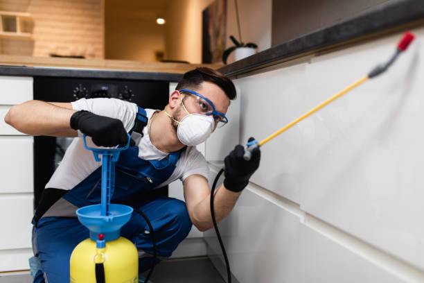 Best Affordable Pest Control Services  in Oneida, NY