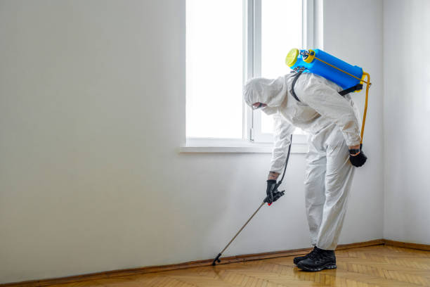 Best Pest Prevention Services  in Oneida, NY