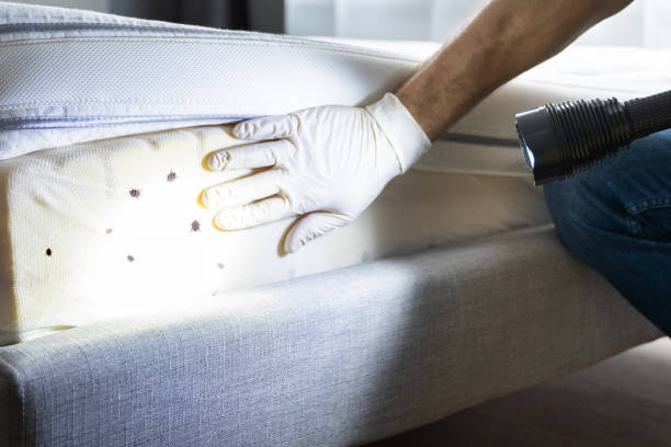 Best Commercial Pest Control Services  in Oneida, NY