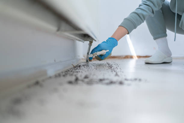 Pest Prevention Services in Oneida, NY