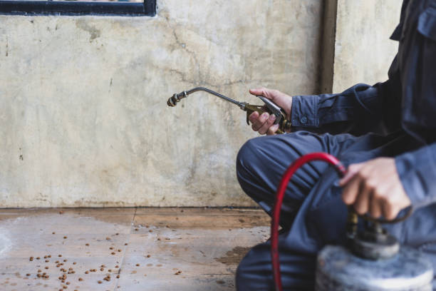 Best Termite Control Services  in Oneida, NY